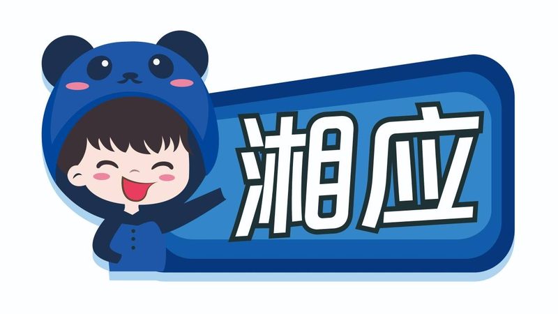 上海IT咨询收费价格：揭秘影响因素与决策要点