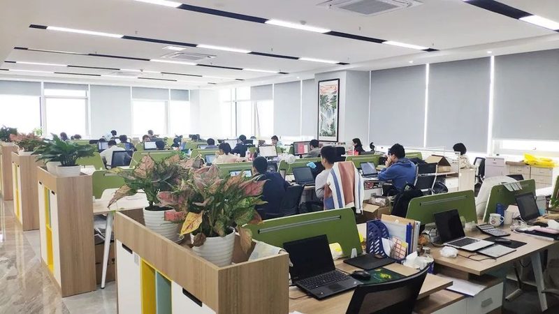 信息技术公司注册后的合规之路**